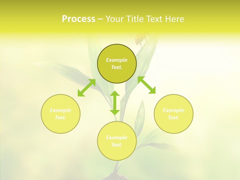 Close Up Foliage Flora PowerPoint Template