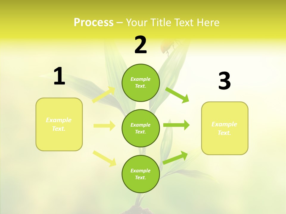 Close Up Foliage Flora PowerPoint Template