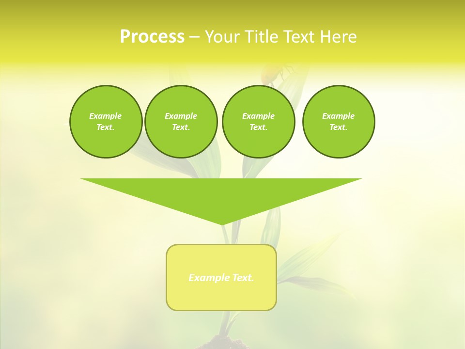 Close Up Foliage Flora PowerPoint Template