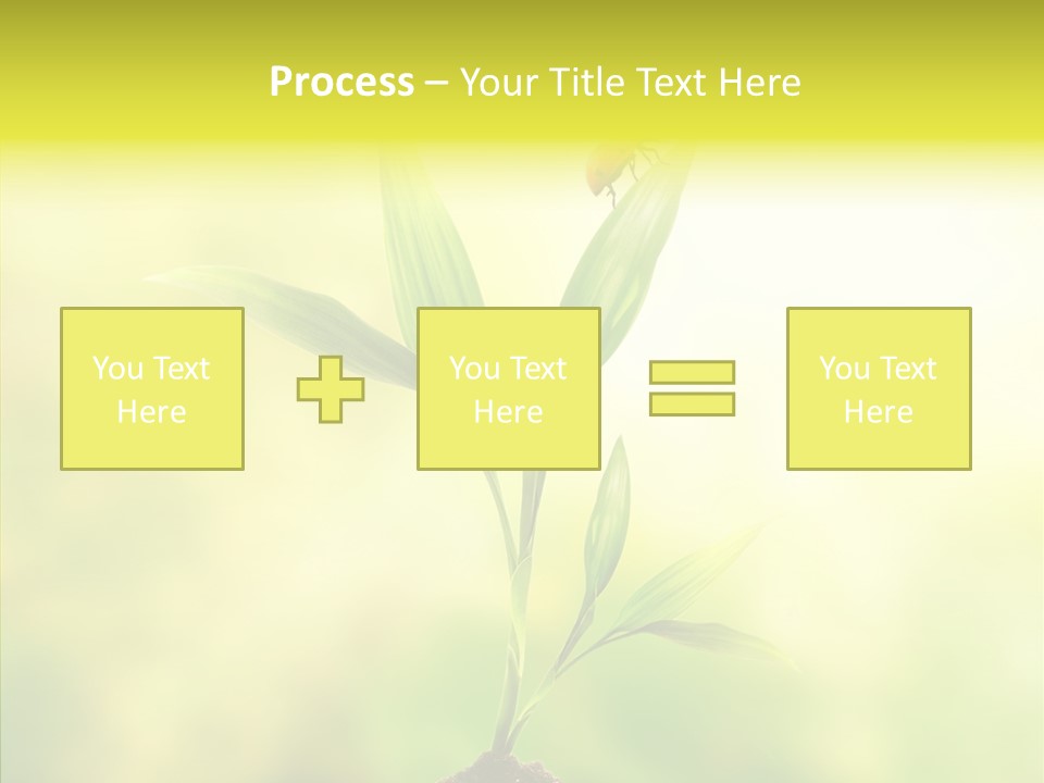 Close Up Foliage Flora PowerPoint Template