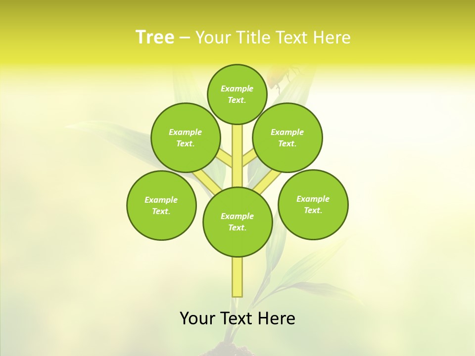 Close Up Foliage Flora PowerPoint Template