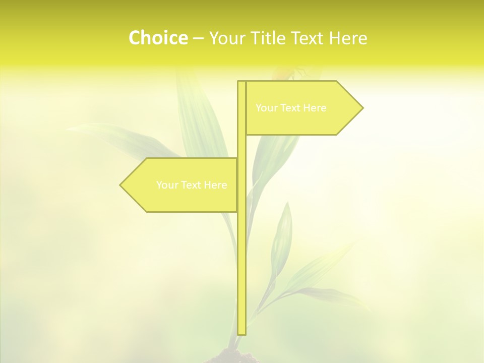Close Up Foliage Flora PowerPoint Template