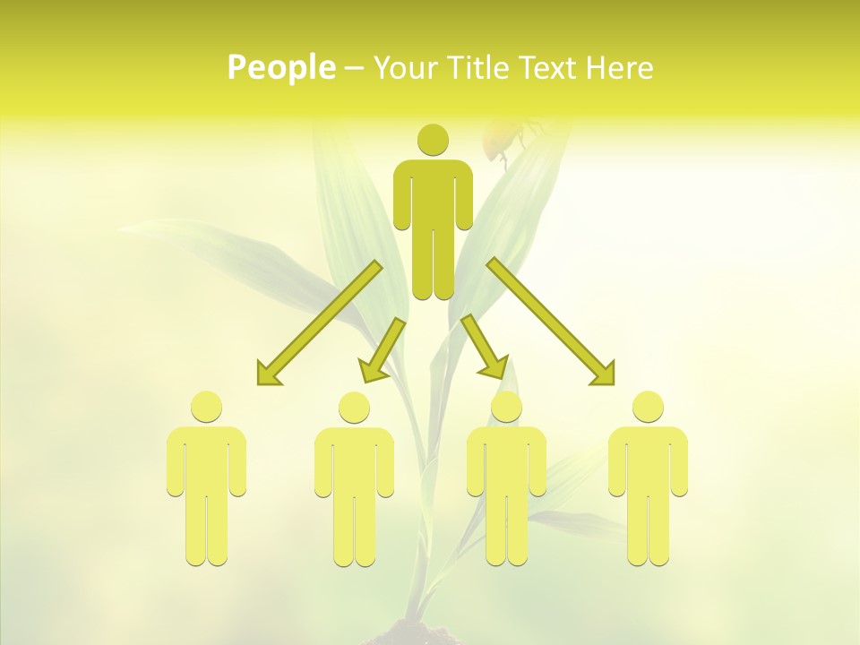 Close Up Foliage Flora PowerPoint Template