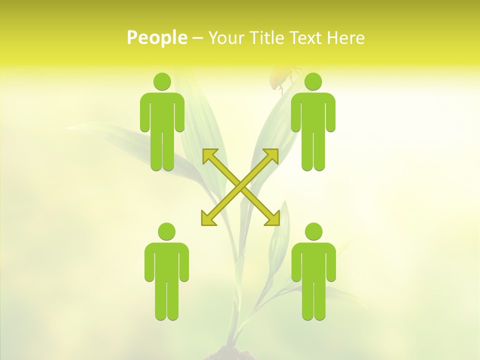 Close Up Foliage Flora PowerPoint Template