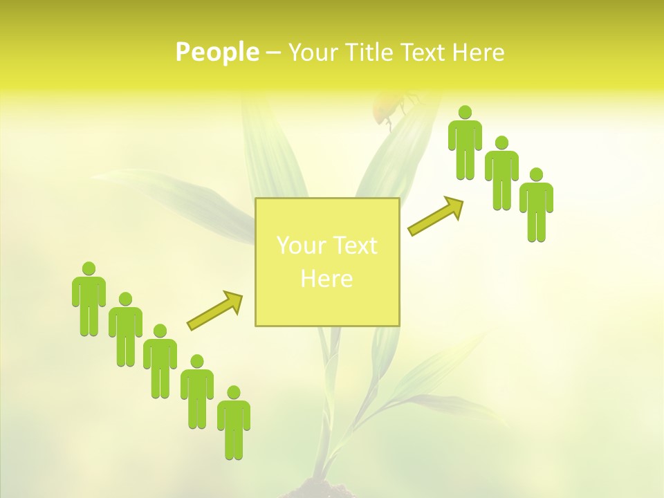 Close Up Foliage Flora PowerPoint Template