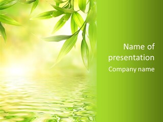 Flare Background Sunshine PowerPoint Template