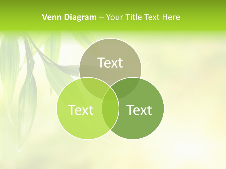 Beautiful Nature Japan PowerPoint Template