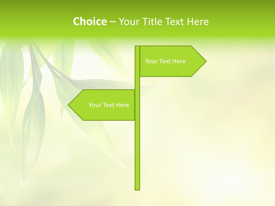 Beautiful Nature Japan PowerPoint Template