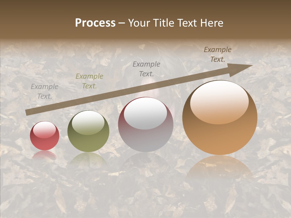 People Grin Happy PowerPoint Template