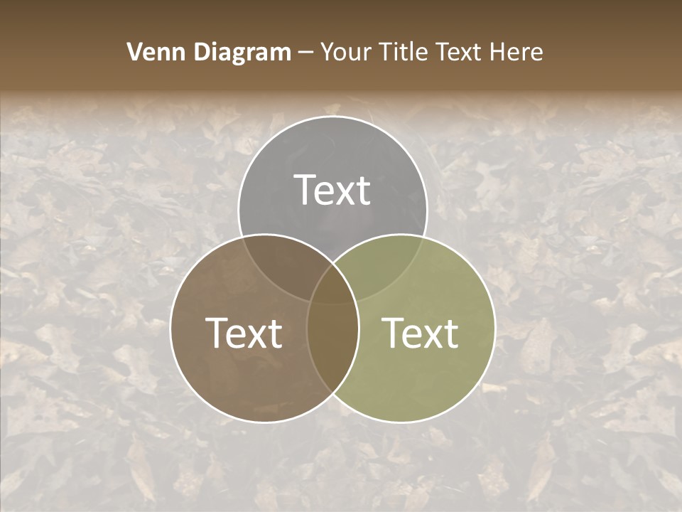 People Grin Happy PowerPoint Template