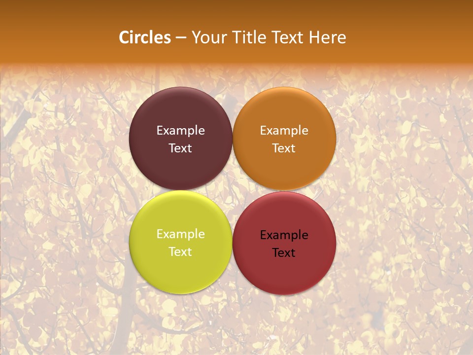 Trees Leaves California PowerPoint Template