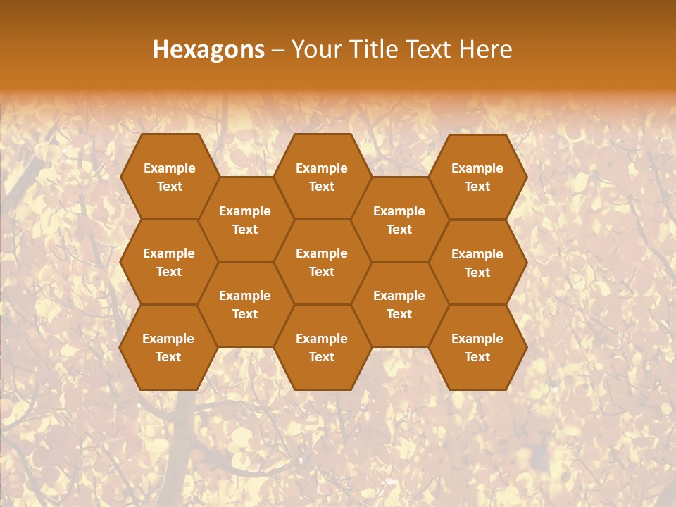 Trees Leaves California PowerPoint Template