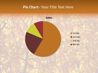 Trees Leaves California PowerPoint Template