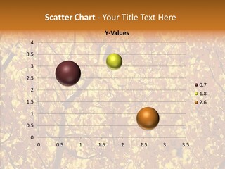 Trees Leaves California PowerPoint Template