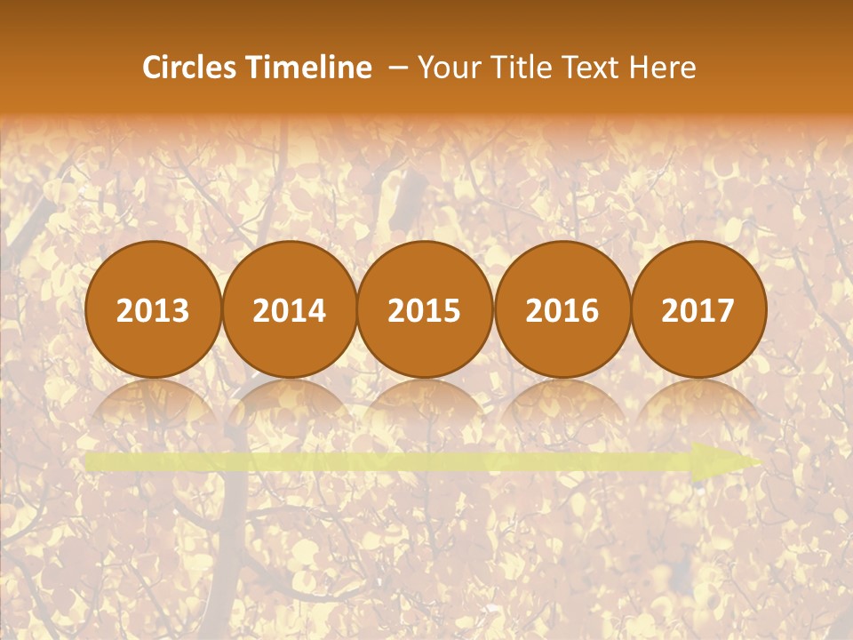 Trees Leaves California PowerPoint Template