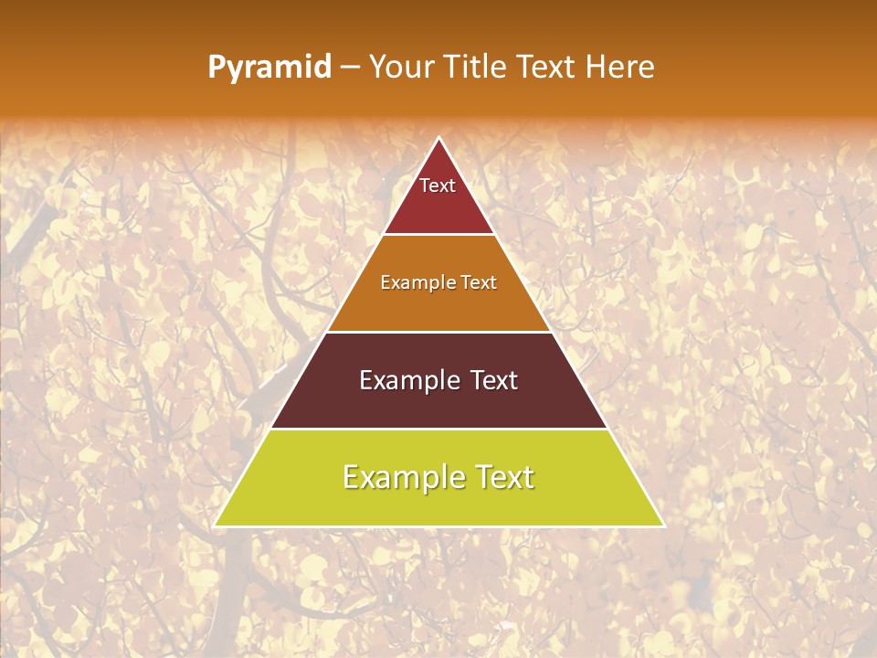 Trees Leaves California PowerPoint Template