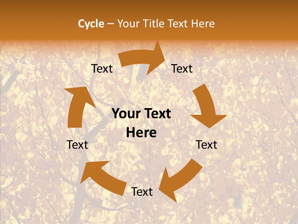Trees Leaves California PowerPoint Template