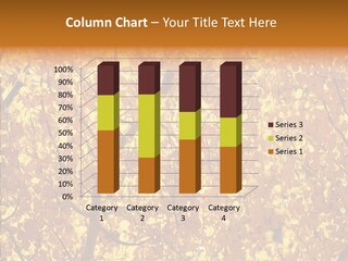 Trees Leaves California PowerPoint Template