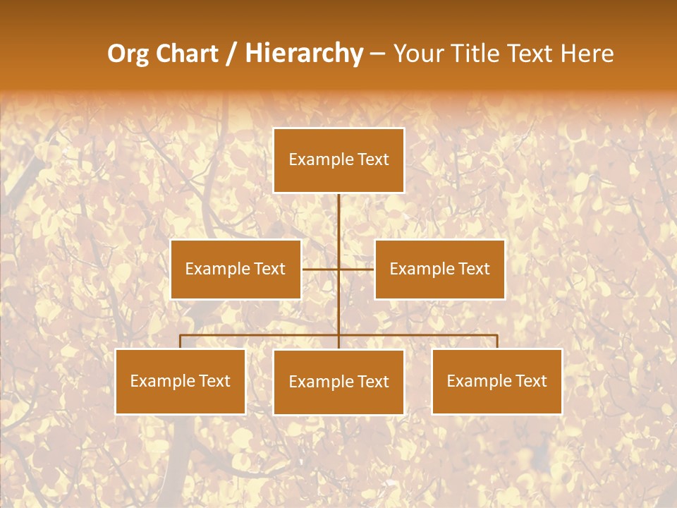 Trees Leaves California PowerPoint Template