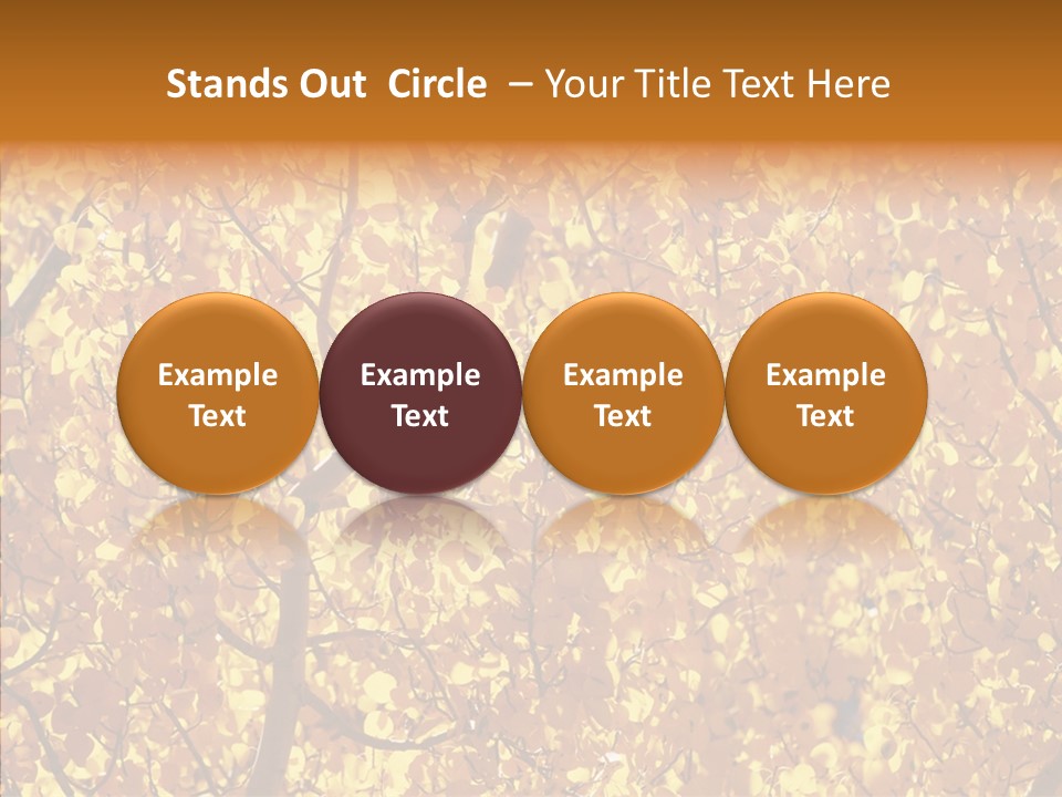 Trees Leaves California PowerPoint Template
