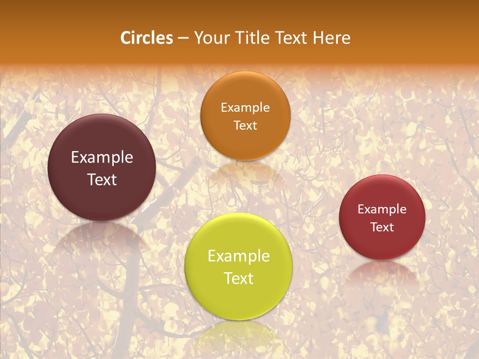 Trees Leaves California PowerPoint Template