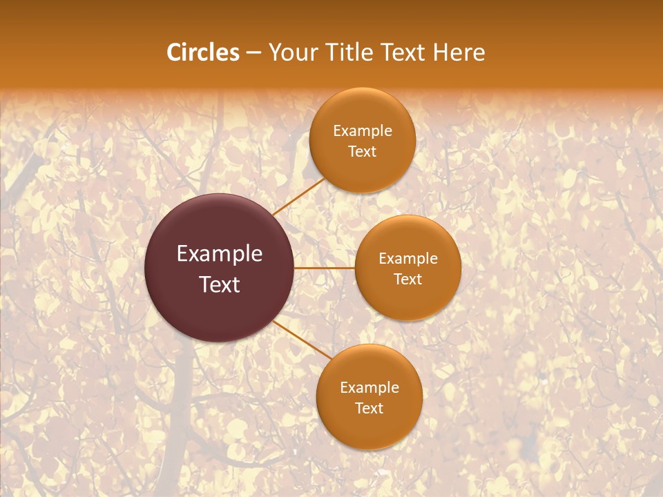 Trees Leaves California PowerPoint Template