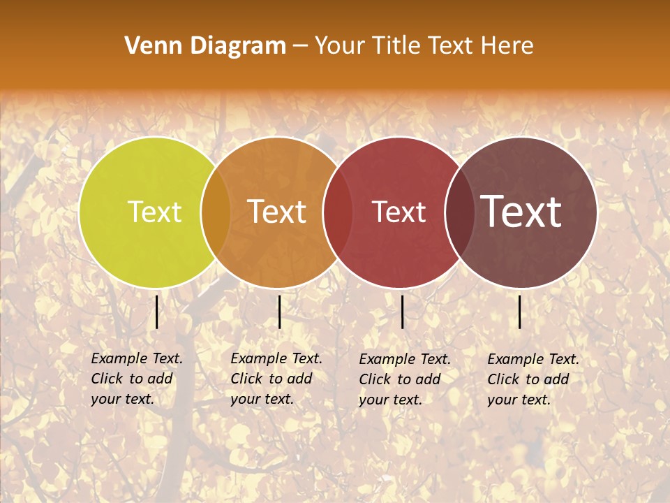 Trees Leaves California PowerPoint Template