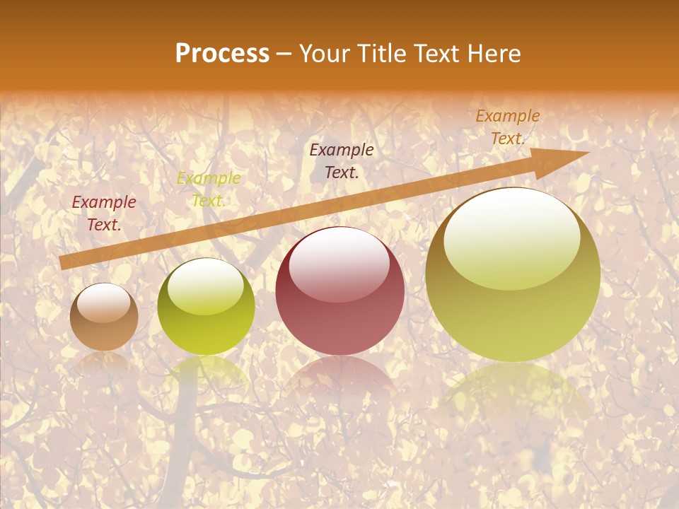 Trees Leaves California PowerPoint Template
