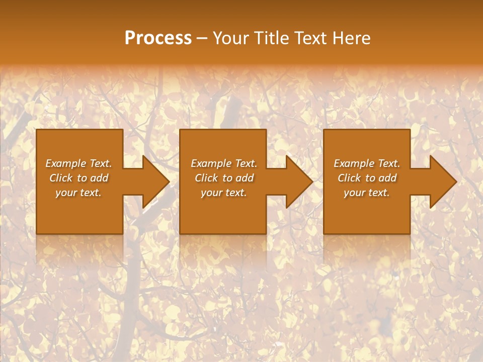 Trees Leaves California PowerPoint Template