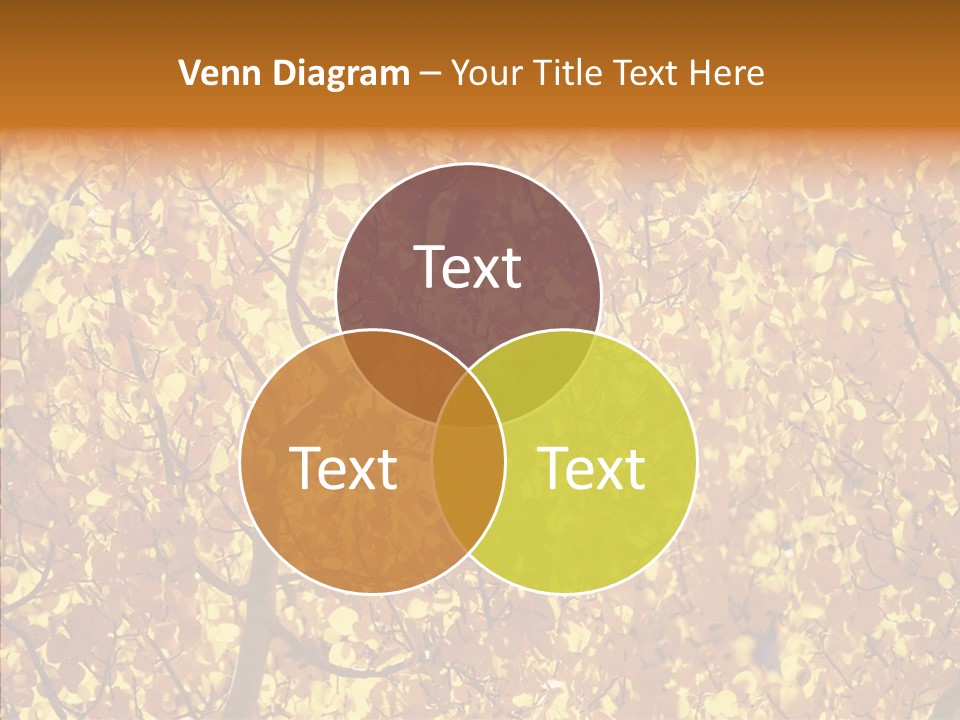 Trees Leaves California PowerPoint Template