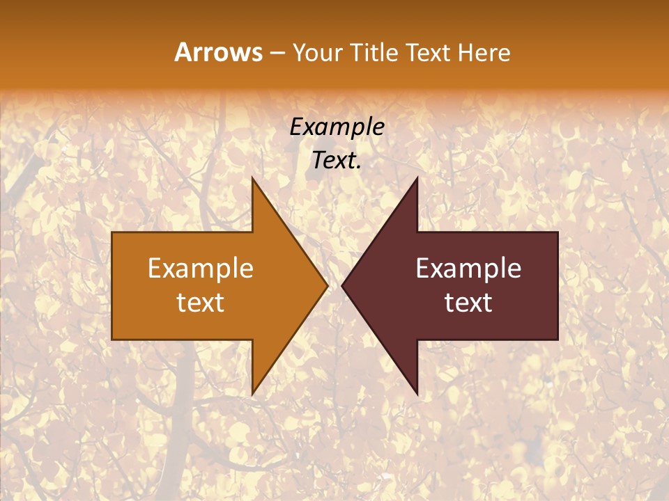 Trees Leaves California PowerPoint Template