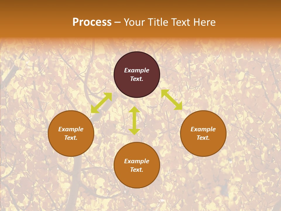 Trees Leaves California PowerPoint Template