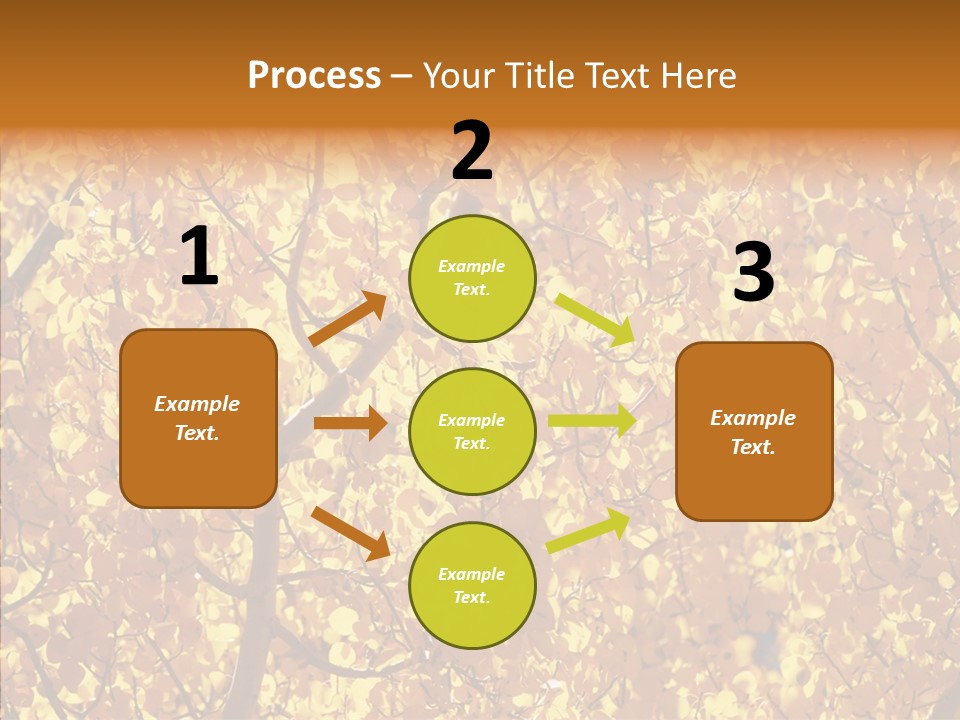 Trees Leaves California PowerPoint Template