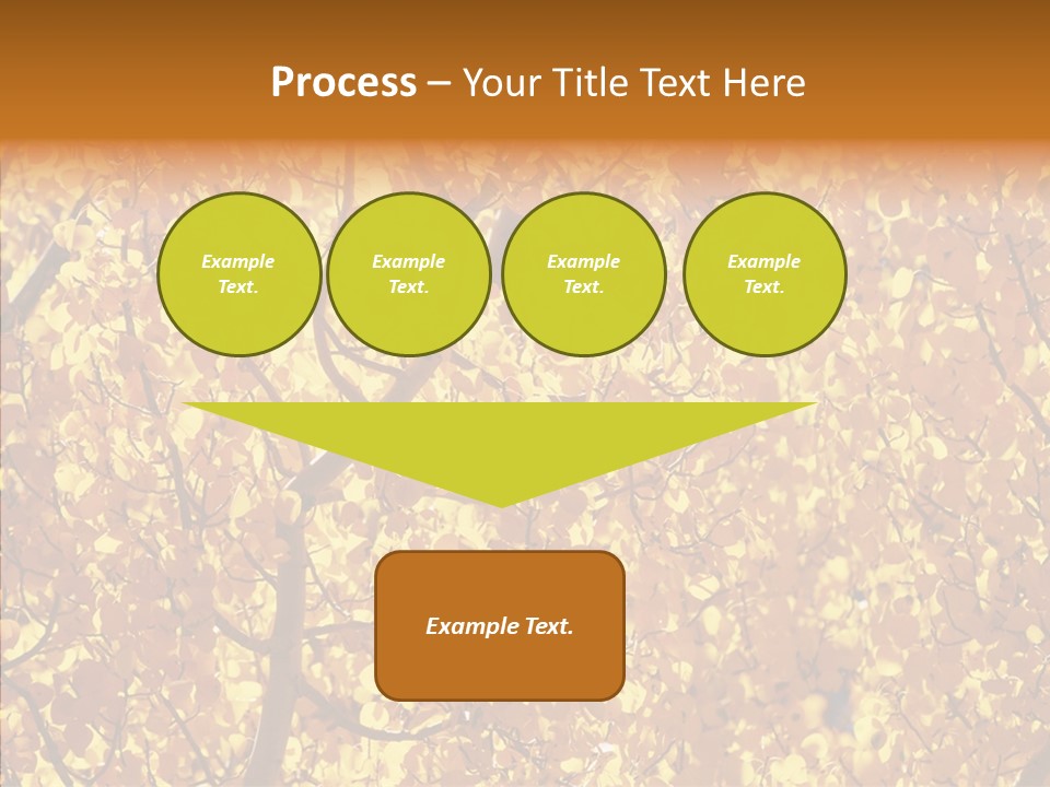 Trees Leaves California PowerPoint Template