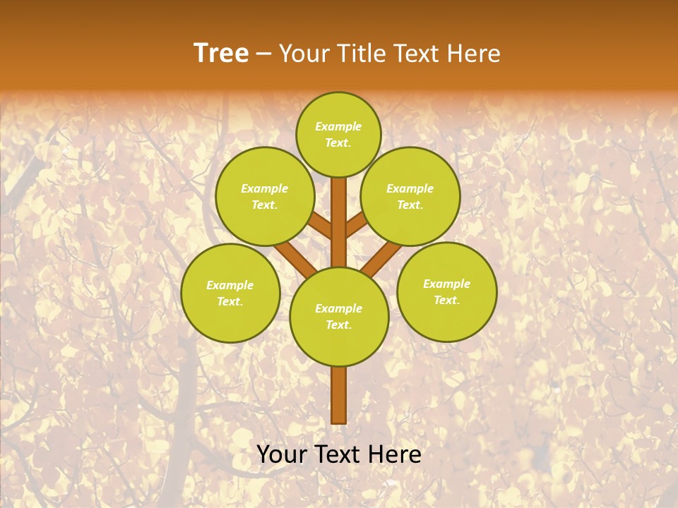 Trees Leaves California PowerPoint Template