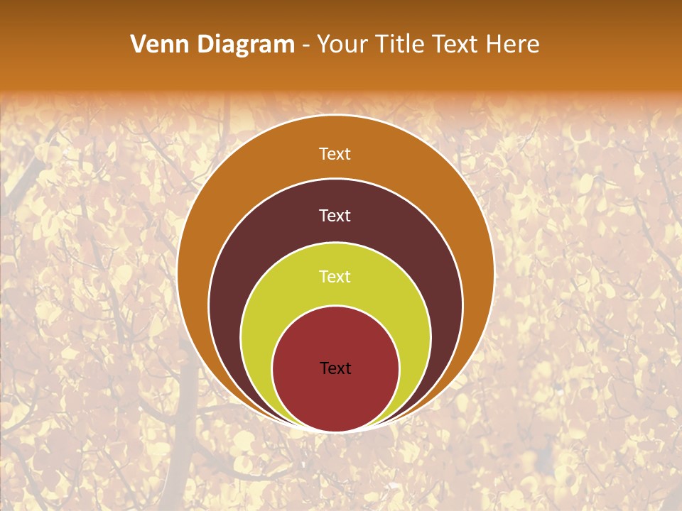 Trees Leaves California PowerPoint Template