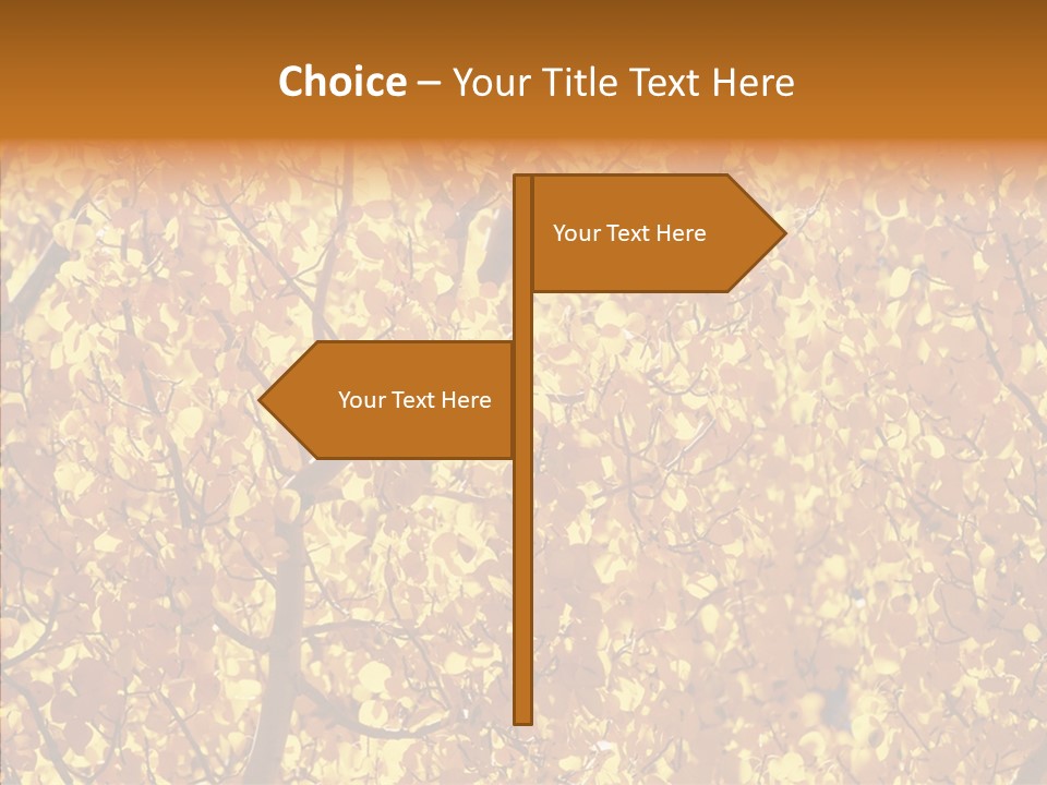 Trees Leaves California PowerPoint Template