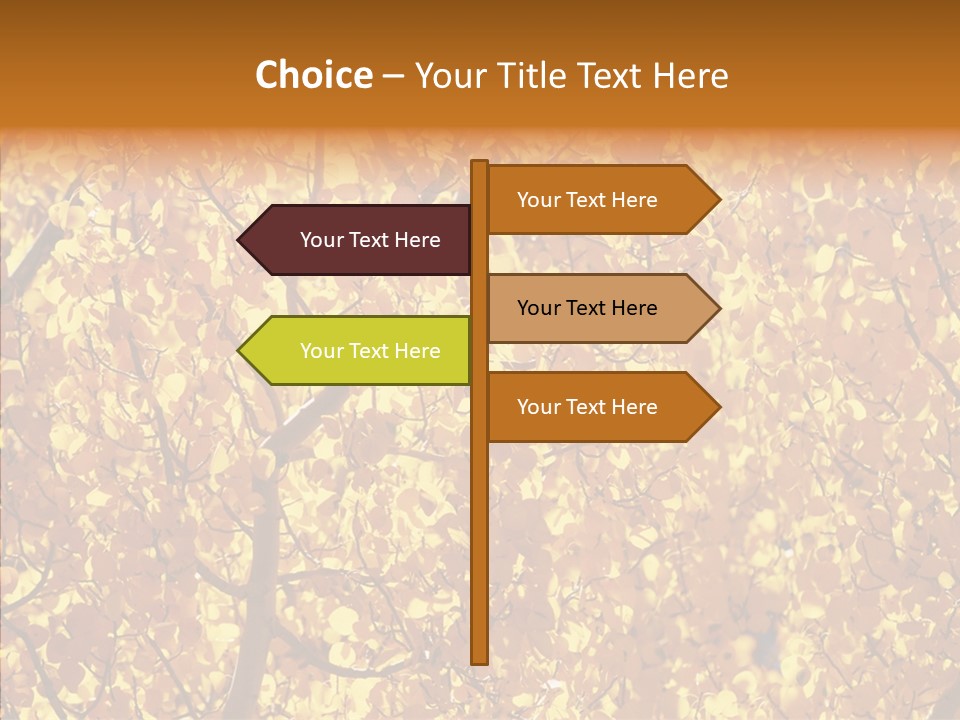 Trees Leaves California PowerPoint Template