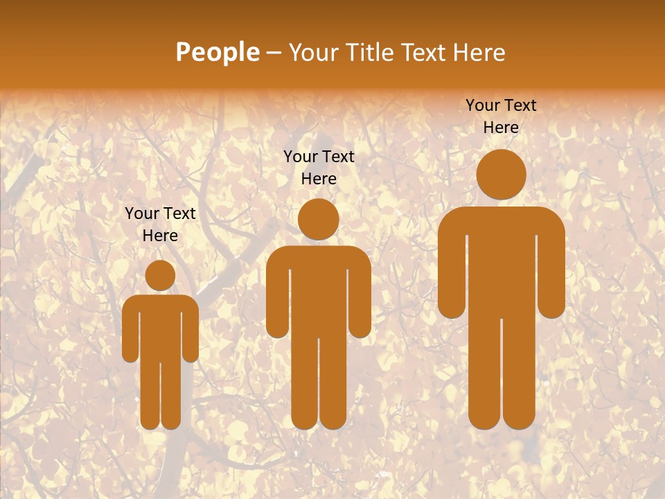 Trees Leaves California PowerPoint Template
