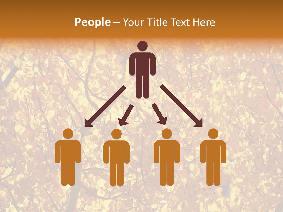 Trees Leaves California PowerPoint Template