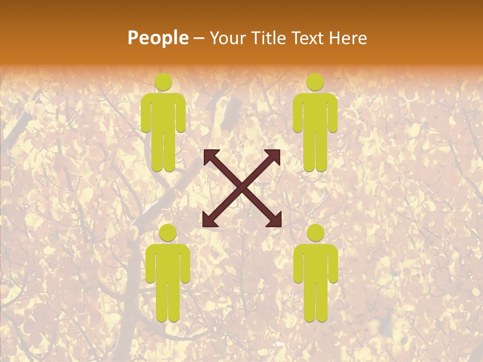 Trees Leaves California PowerPoint Template
