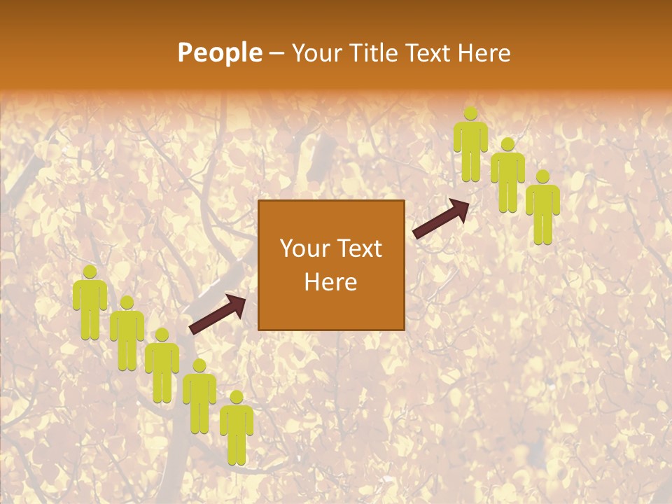 Trees Leaves California PowerPoint Template