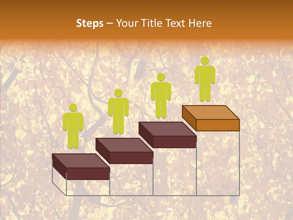Trees Leaves California PowerPoint Template