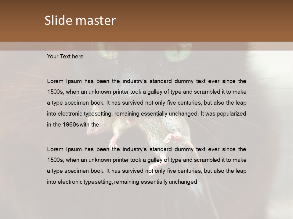 Panic Cat Isolated PowerPoint Template