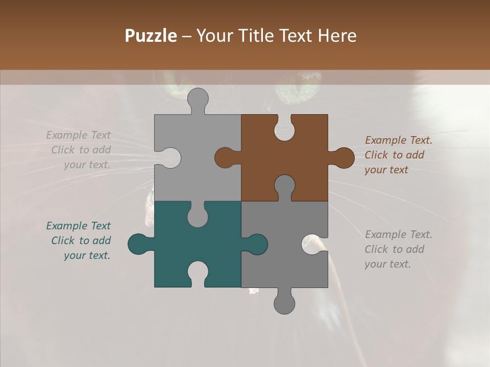 Panic Cat Isolated PowerPoint Template