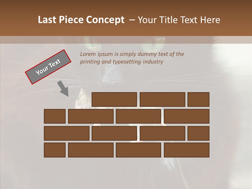 Panic Cat Isolated PowerPoint Template