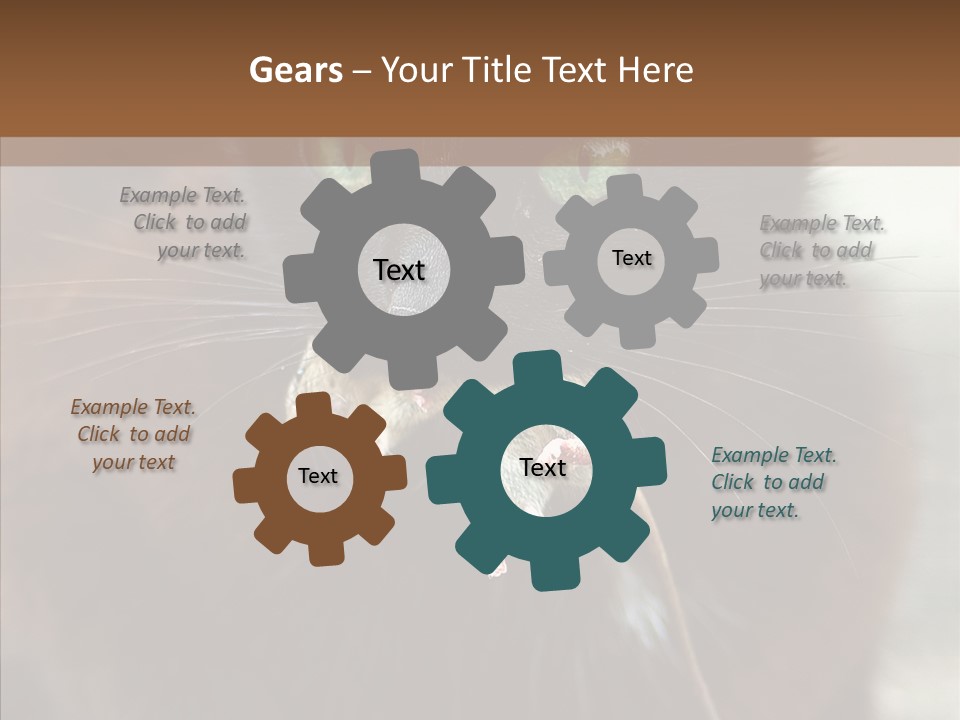 Panic Cat Isolated PowerPoint Template