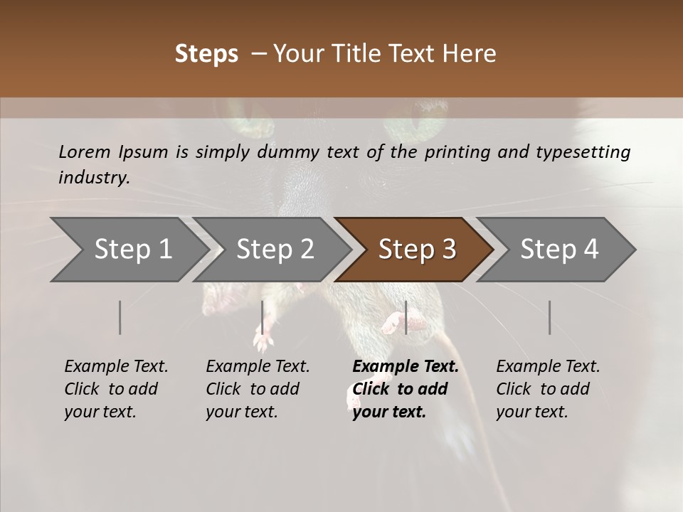 Panic Cat Isolated PowerPoint Template