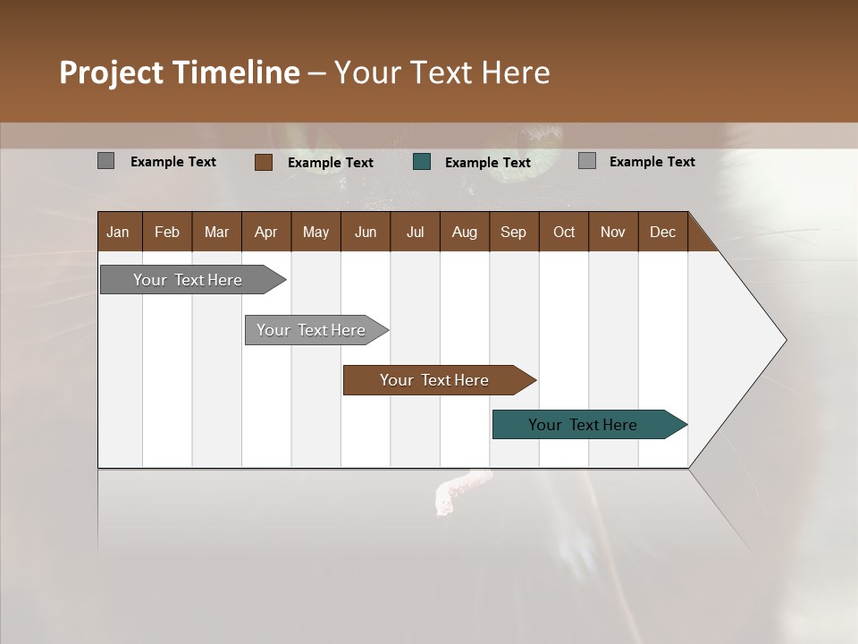 Panic Cat Isolated PowerPoint Template