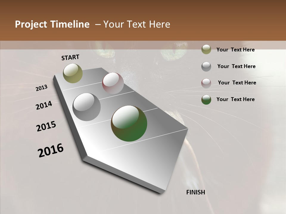 Panic Cat Isolated PowerPoint Template